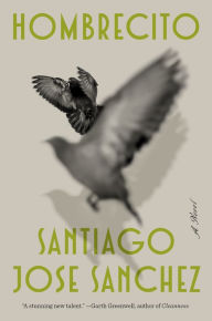 Title: Hombrecito: A Novel, Author: Santiago Jose Sanchez