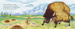 Alternative view 2 of Buffalo Fluffalo