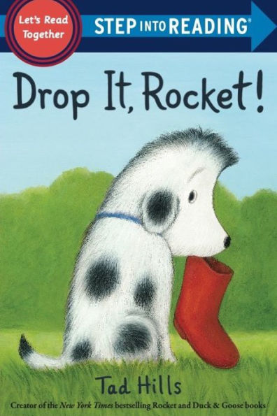 Drop It, Rocket!