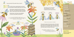 Alternative view 2 of Hello, World! Kids' Guides: Exploring Insects