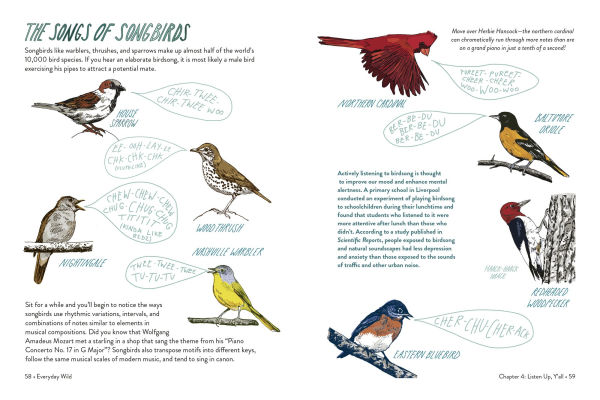Everyday Wild: An Illustrated Guide for Mindfulness Nature