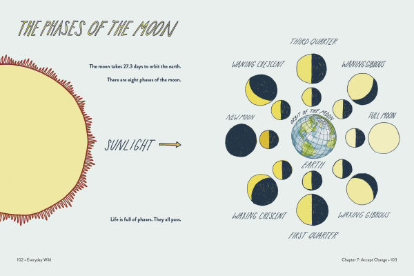 Everyday Wild: An Illustrated Guide for Mindfulness Nature