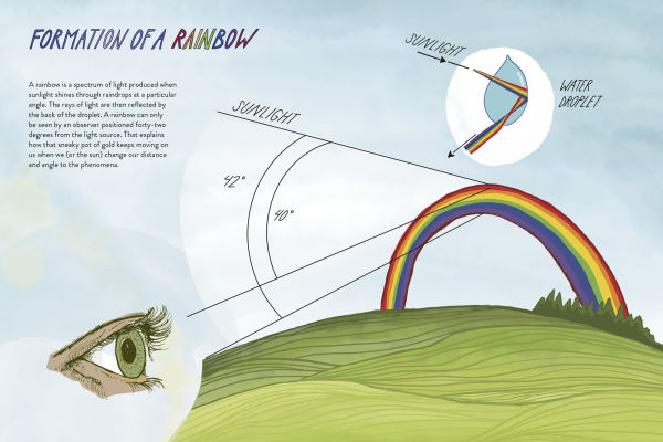 Everyday Wild: An Illustrated Guide for Mindfulness Nature
