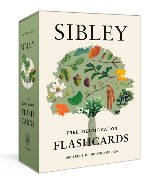 Sibley Tree Identification Flashcards: 100 Trees of North America