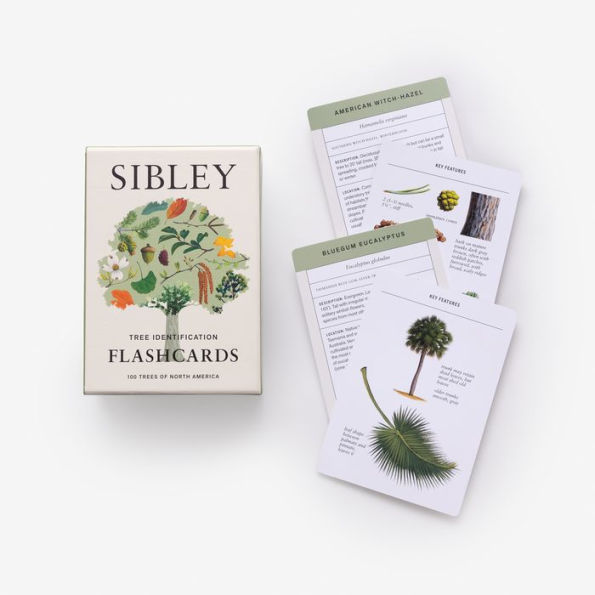 Sibley Tree Identification Flashcards: 100 Trees of North America