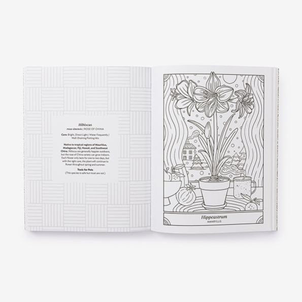 Flowerscape in Paradise Coloring Book & Colored Pencil Set