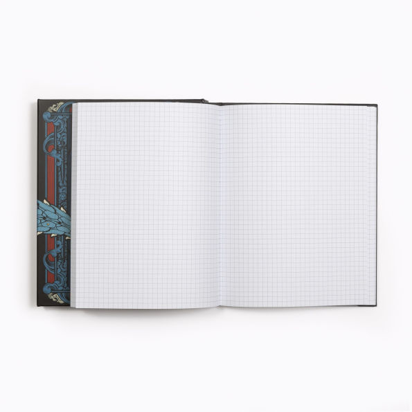 The Book of Concealment (Dungeons & Dragons): A Game Screen and Journal in One