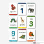 Alternative view 5 of The World of Eric Carle Bilingual Flashcards: 50 Cards in English and Spanish