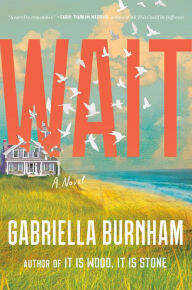 Title: Wait: A Novel, Author: Gabriella Burnham