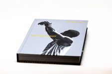 Alternative view 10 of Shot Ready