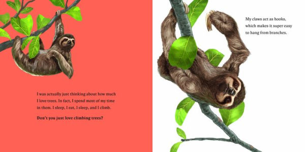 Hello, I'm a Sloth (Meet the Wild Things, Book 1)