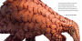 Alternative view 4 of Hello, I'm a Pangolin (Meet the Wild Things, Book 2)