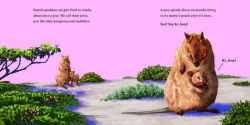 Alternative view 5 of Hello, I'm a Quokka (Meet the Wild Things, Book 3)