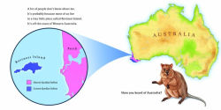 Alternative view 6 of Hello, I'm a Quokka (Meet the Wild Things, Book 3)