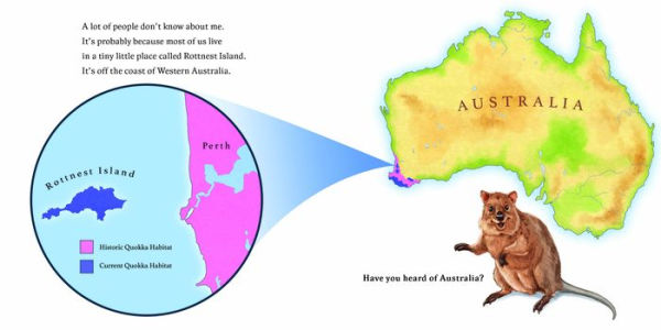 Hello, I'm a Quokka (Meet the Wild Things, Book 3)