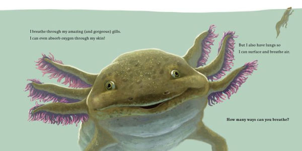 Hello, I'm an Axolotl (Meet the Wild Things, Book 4)