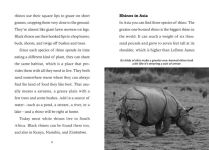 Alternative view 4 of Save the... Rhinoceroses