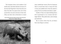 Alternative view 6 of Save the... Rhinoceroses