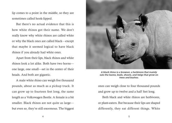 Save the... Rhinoceroses