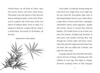 Alternative view 4 of Save the...Pandas
