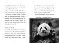 Alternative view 5 of Save the...Pandas