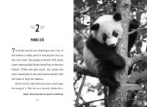Alternative view 6 of Save the...Pandas