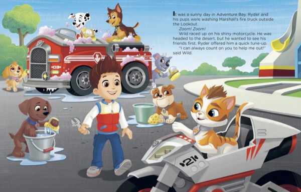 Cat Pack Power (PAW Patrol)