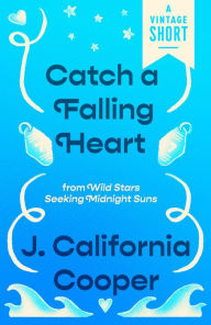 Title: Catch a Falling Heart: from Wild Stars Seeking Midnight Suns, Author: J. California Cooper