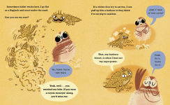 Alternative view 2 of Horned Toad Has a Superpower