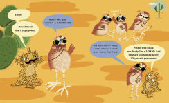 Alternative view 3 of Horned Toad Has a Superpower