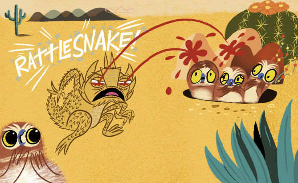 Horned Toad Has a Superpower