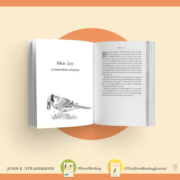 The Slow Birding Journal: A Field Diary for Watching Birds Wherever You Are