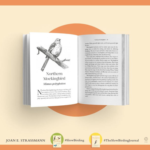 The Slow Birding Journal: A Field Diary for Watching Birds Wherever You Are