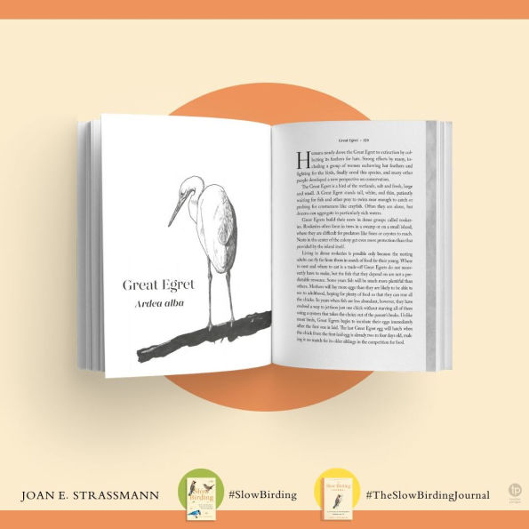 The Slow Birding Journal: A Field Diary for Watching Birds Wherever You Are