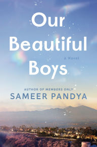 Title: Our Beautiful Boys: A Novel, Author: Sameer Pandya