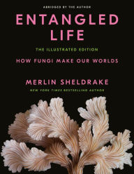 Download books for free pdf online Entangled Life: The Illustrated Edition: How Fungi Make Our Worlds 9780593729984 English version by Merlin Sheldrake