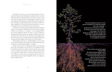 Alternative view 12 of Entangled Life: The Illustrated Edition: How Fungi Make Our Worlds