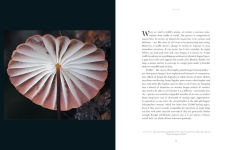 Alternative view 15 of Entangled Life: The Illustrated Edition: How Fungi Make Our Worlds