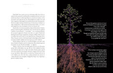 Alternative view 17 of Entangled Life: The Illustrated Edition: How Fungi Make Our Worlds