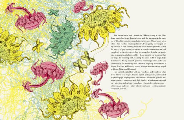 Entangled Life: The Illustrated Edition: How Fungi Make Our Worlds