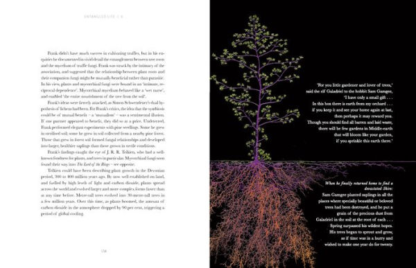 Entangled Life: The Illustrated Edition: How Fungi Make Our Worlds