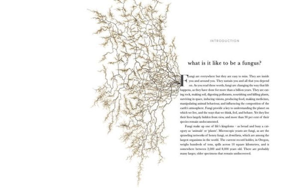 Entangled Life: The Illustrated Edition: How Fungi Make Our Worlds