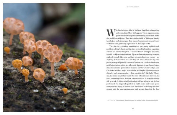 Entangled Life: The Illustrated Edition: How Fungi Make Our Worlds