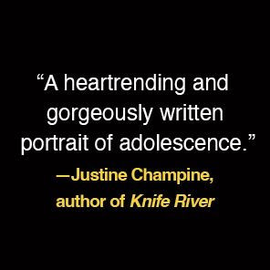 Wild Ground: A Novel