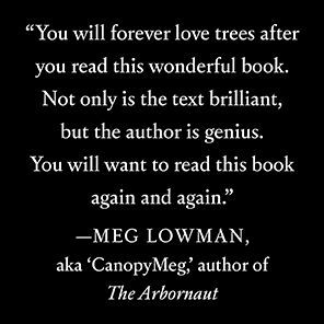 the Genius of Trees: How They Mastered Elements and Shaped World