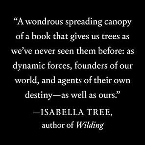 the Genius of Trees: How They Mastered Elements and Shaped World