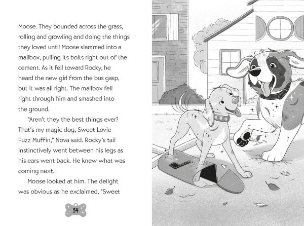 Rocky and Nova Don't Need Doors #3