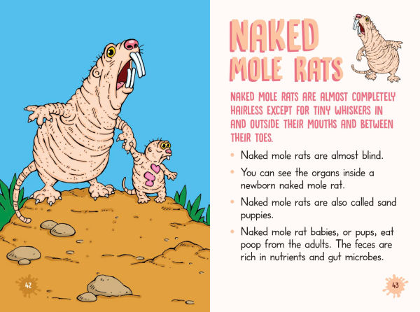 Nitty-Gritty Grossology: Over 101 Disgusting Facts!