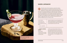 Alternative view 2 of Tiny Cocktails: The Art of Miniature Mixology: A Cocktail Recipe Book