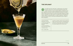 Alternative view 3 of Tiny Cocktails: The Art of Miniature Mixology: A Cocktail Recipe Book